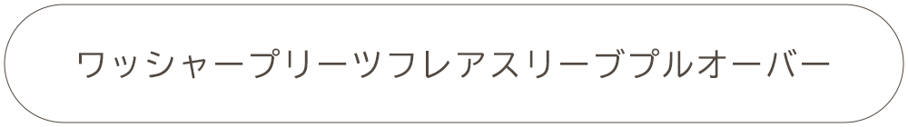 ワッシャープリーツフレアスリーブプルオーバー