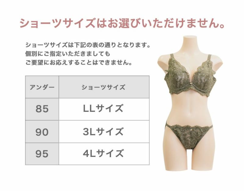 【PLST】レディース　福袋　Ｍサイズ PLST(プラステ)公式 | 【完売御礼】 2025年福袋（WOMEN）