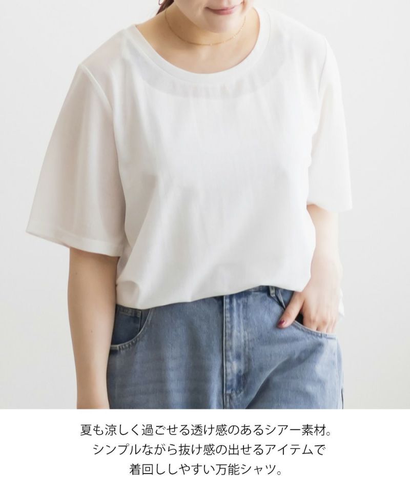 ogiシャルレコットンシアーカットソー LLサイズ シアーコットン クルーネックカットソー【洗濯機洗い可】（T